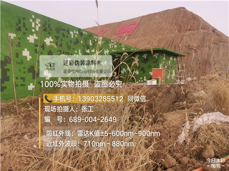 垫江星空迷彩墙施工队