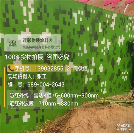 垫江星空迷彩漆，夏令营训练,数码迷彩作训墙,围墙